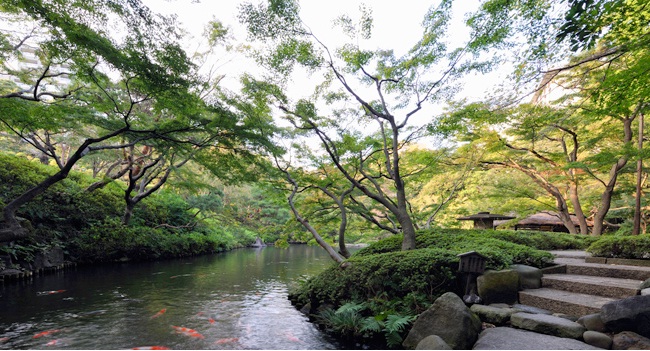 Đẹp mê hồn những vườn thượng uyển Nhật Bản