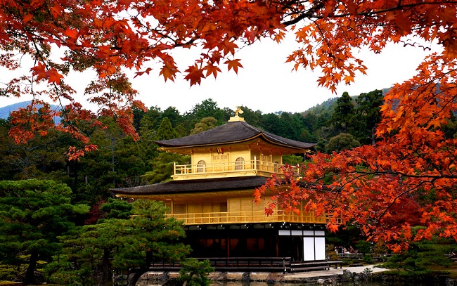 5 điểm đến không thể bỏ qua ở Kyoto