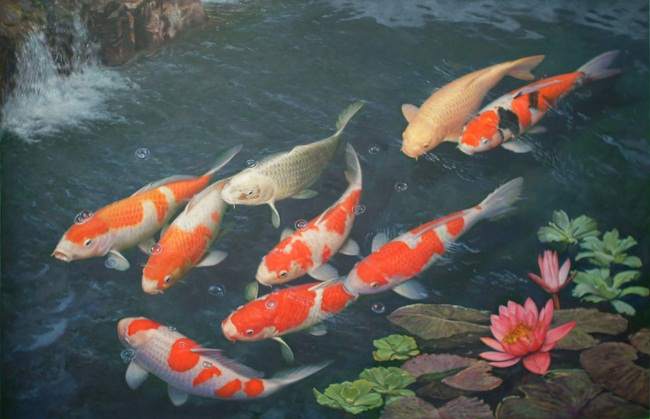 Ngắm Cá Koi Tuyệt Đẹp Ở Nhật Bản